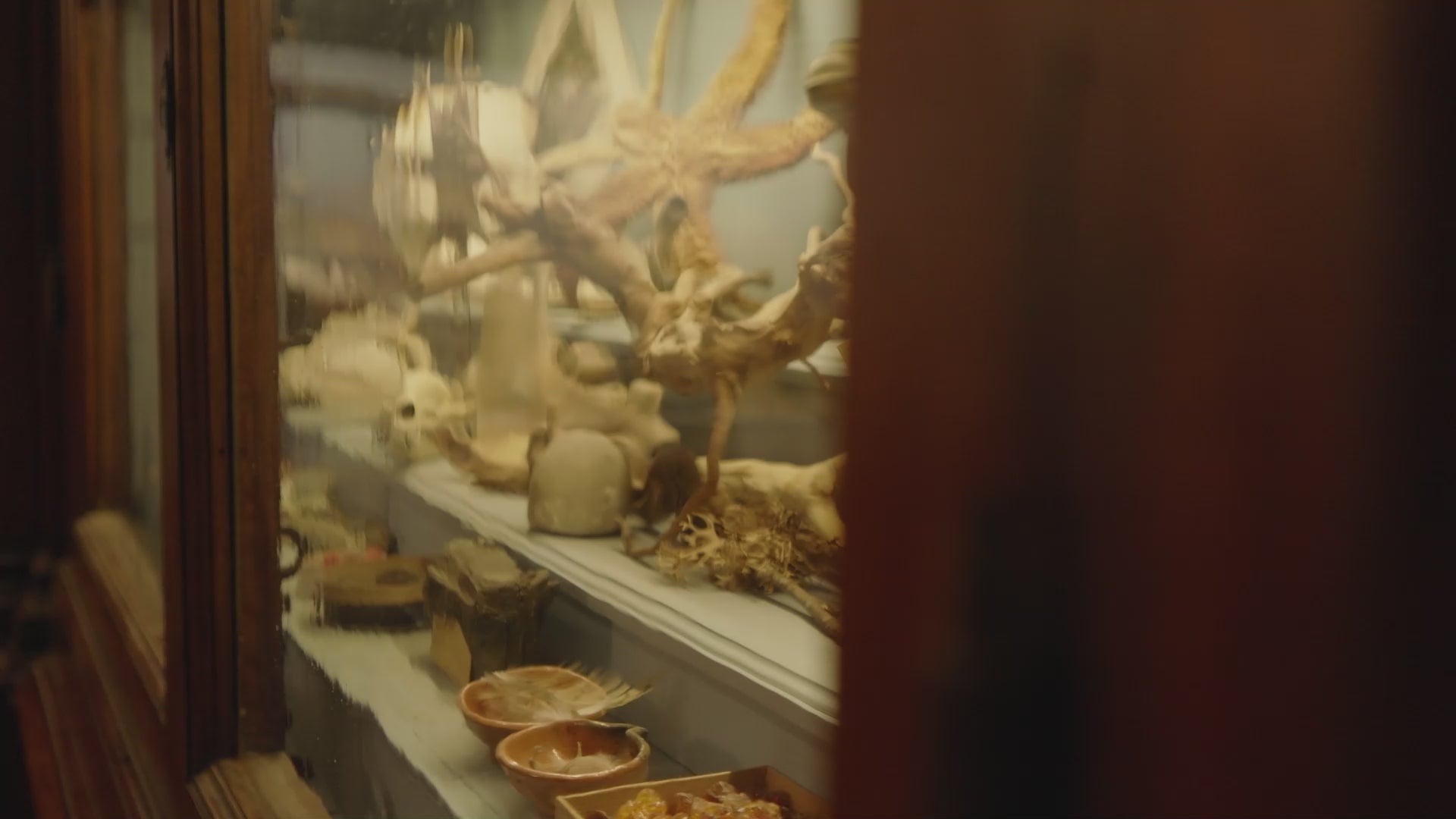 Carica il video: 